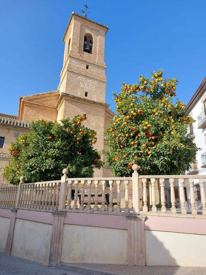Casa Alice Salar Bed & Breakfast Dış mekan fotoğraf